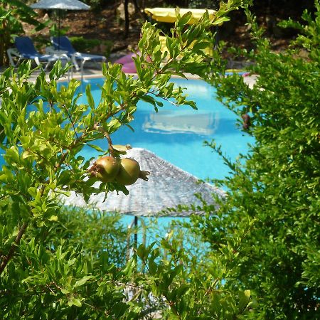 Sultan Palas Hotel Ortaca Dış mekan fotoğraf