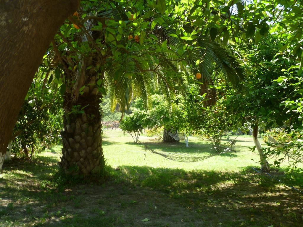 Sultan Palas Hotel Ortaca Dış mekan fotoğraf